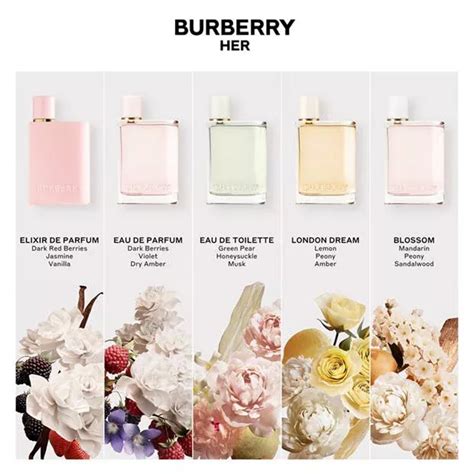 perfumes like burberry her|dossier burberry her dupe.